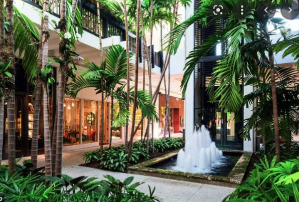 Webster Bal Harbour