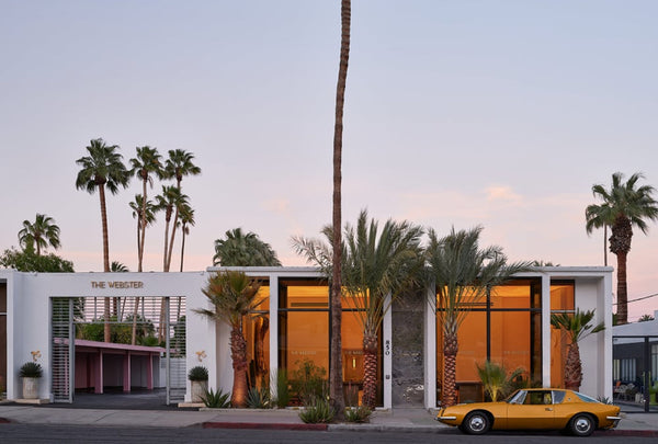 Webster Palm Springs